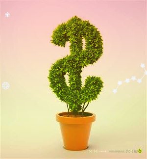 安宁股份:年度关联方资金占用专项审计报告