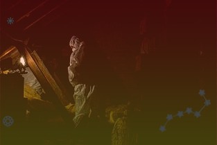 兔年送祝福,“玉兔二号”月球车照片上新