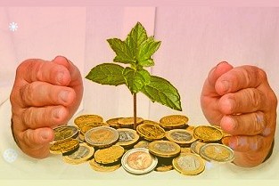 数源科技:控股股东拟减持不超5%公司股份