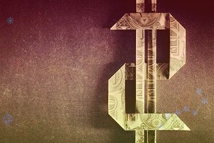 白菜卖到近50元一棵高效益如何持续?